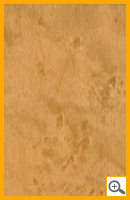 ラップアート:WoodGrain MW-013デパトメープル<ライト> 小杢 width=130